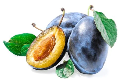 Plum berries Stock Photos