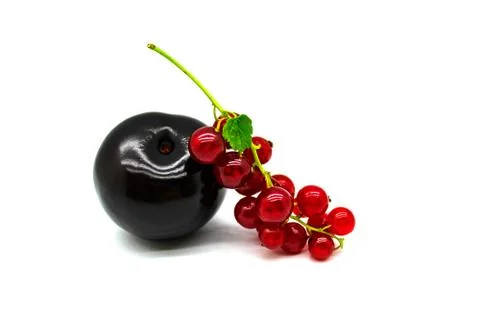Plum berry and a sprig of red currant with a leaf Stock Photos