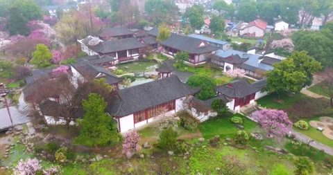 Plum blossoms bloom in spring in Wuhan East Lake Plum blossom Garden Stock Footage 237316534