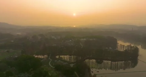 Plum blossoms bloom in spring in Wuhan East Lake Plum blossom Garden Stock Footage 237316564