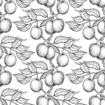Plum branch seamless pattern. Vector drawing. Hand drawn isolate Illustrazione stock