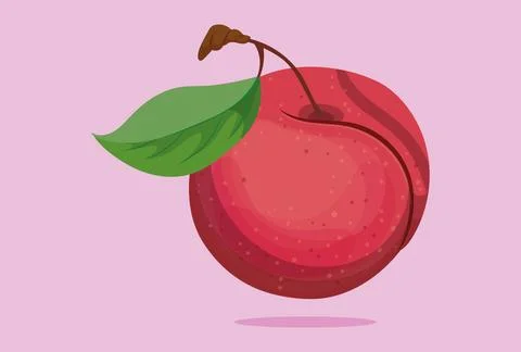 Plum Concept Illustration Stock-Illustration