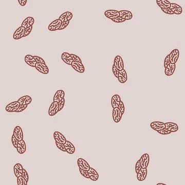 Plum dried fruit line vector seamless pattern Stock Illustration