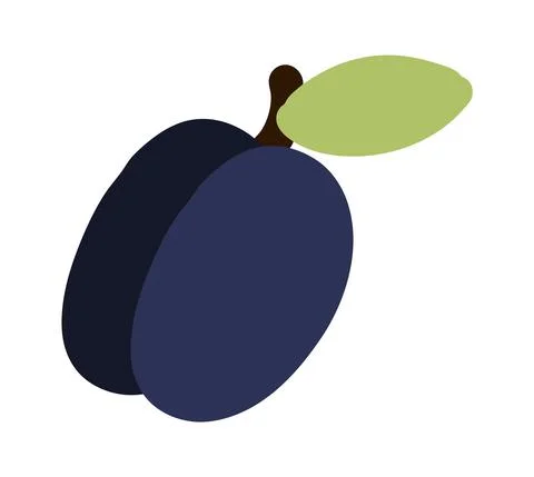 Plum fruit. Doodle berry with stem and leaf. Vector exotic food icon Stock Illustration