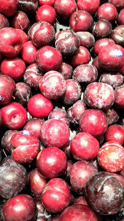 Plum Fruit Stock Footage 318553031