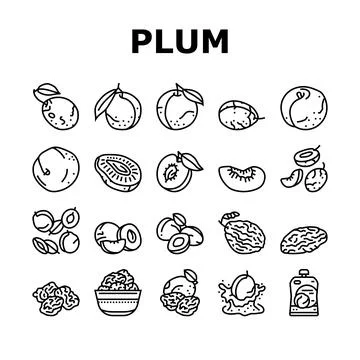 Plum fruit green red prune icons set vector Stock Illustration