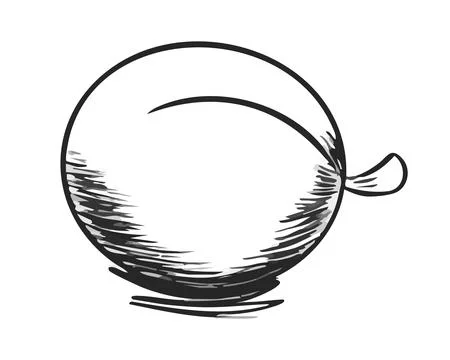 Plum fruit. Hand drawn sketch line art outline. Vector illustration isolated on Stock Illustration