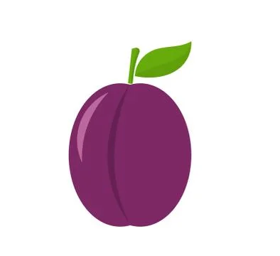 Plum fruit icon, design element. Vector illustration. Stock Illustration