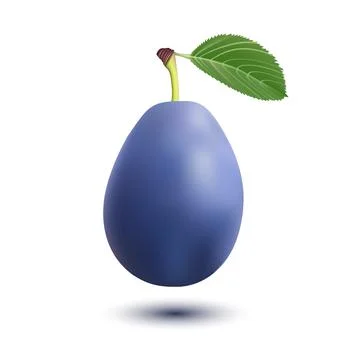 Plum fruit isolated on white background. Stock Illustration