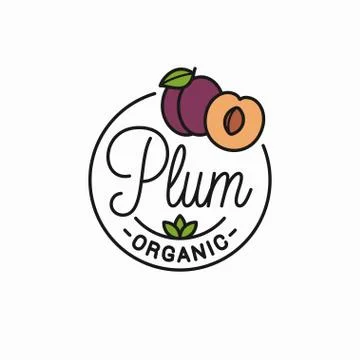 Plum fruit logo. Round linear logo of plum slice Stock Illustration