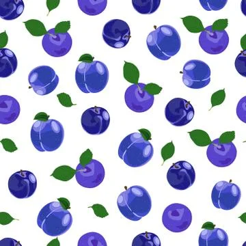 Plum fruits seamless pattern with on white background, Fruit vector illustrat 스톡 일러스트