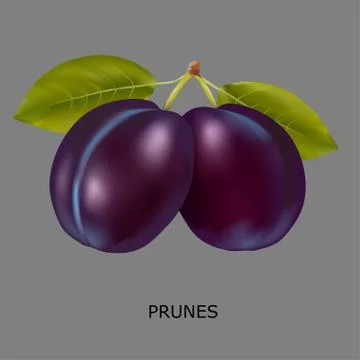 Plum on a gray background Stock Illustration