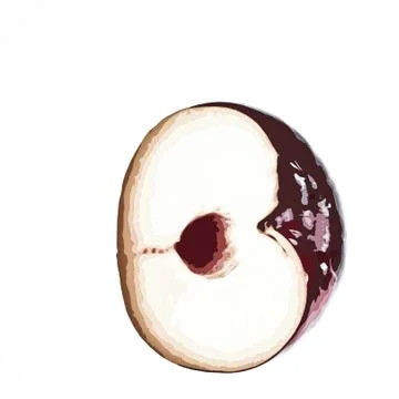 Plum half with core Stock Photos