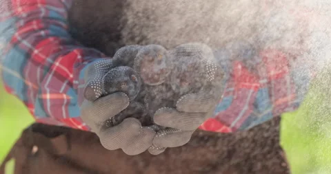 A plum in the hands of a farmer Vidéo 160294097