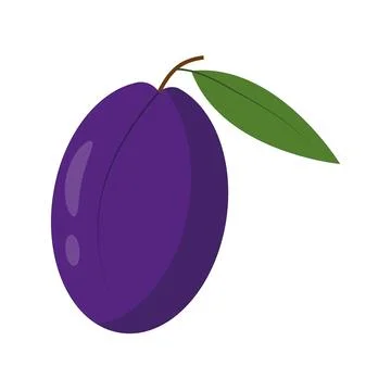 Plum icon isolated on white background. Flat vector illustration. Illustrazione stock