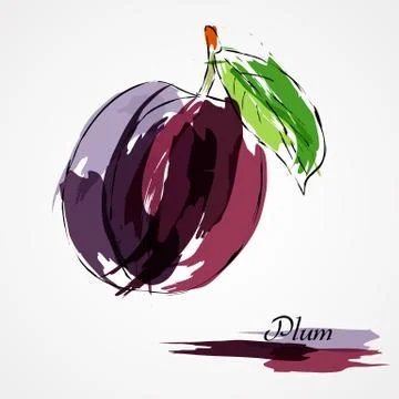 Plum Stock Illustration