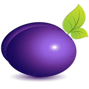 Plum Stock Illustration