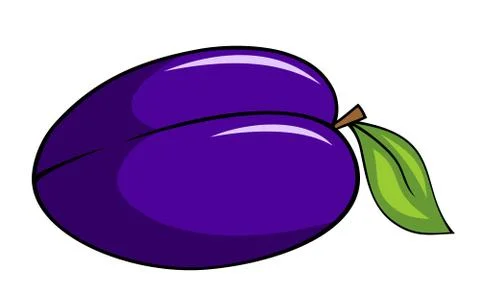 Plum Stock Illustration
