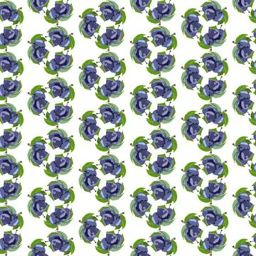 Plum Stock Illustration