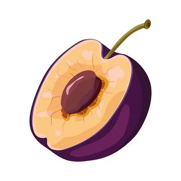 Plum Stock Illustration