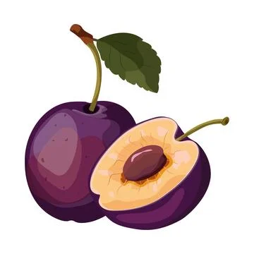 Plum isolated Stock Illustration