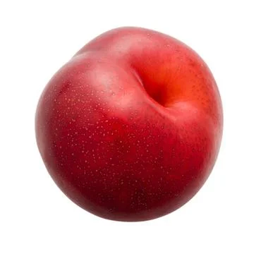 Plum isolated Stock Photos