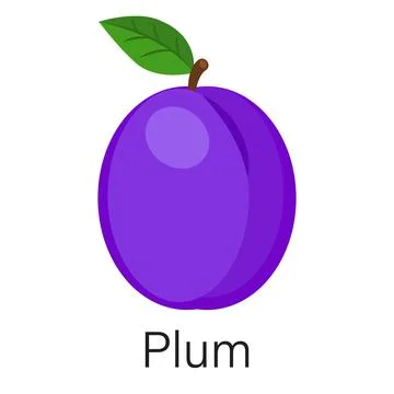 Plum isolated on white background Stock Illustration