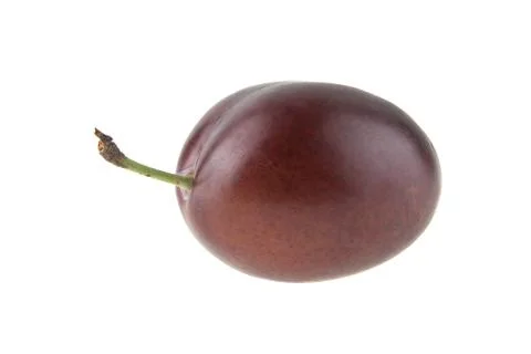 Plum isolated on white background Stock Photos