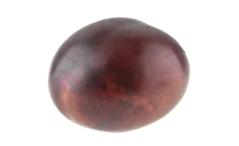 Plum isolated on white background Stock Photos