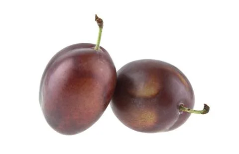 Plum isolated on white background Stock Photos