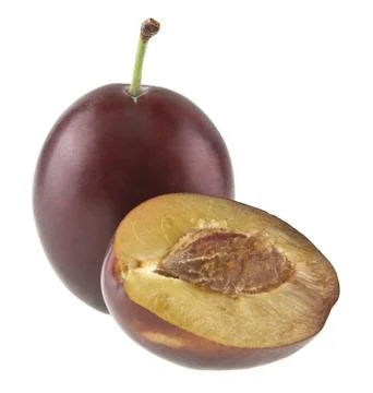 Plum isolated on white background Stock Photos