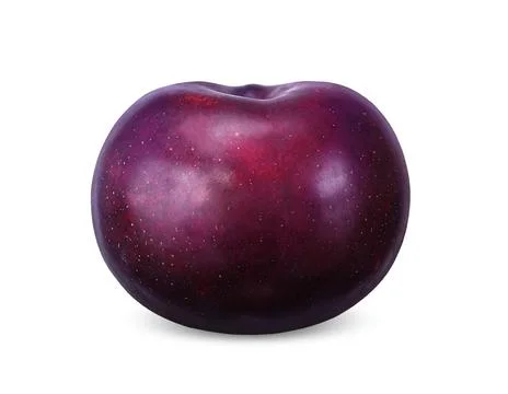 Plum isolated on white background Stock Photos