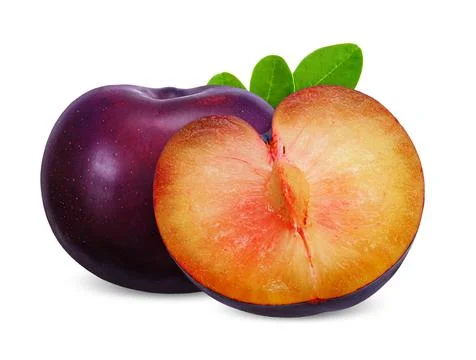 Plum isolated on white background Stock Photos