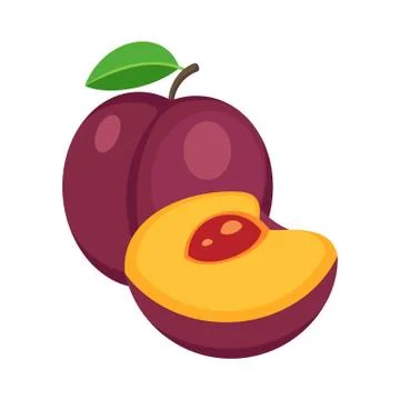 Plum isolated on white background. Vector illustration. Stock Illustration