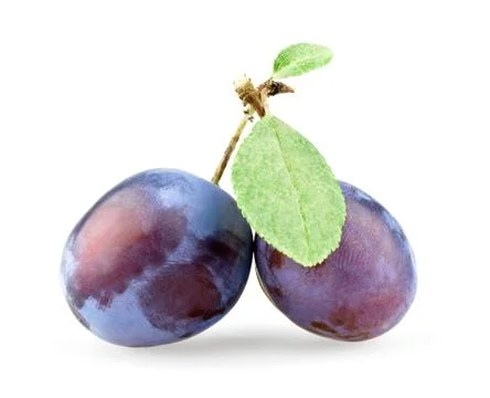 Plum with leaves Stock Photos