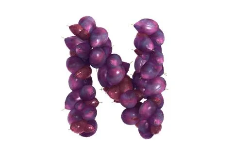 Plum letter N on white background 스톡 일러스트