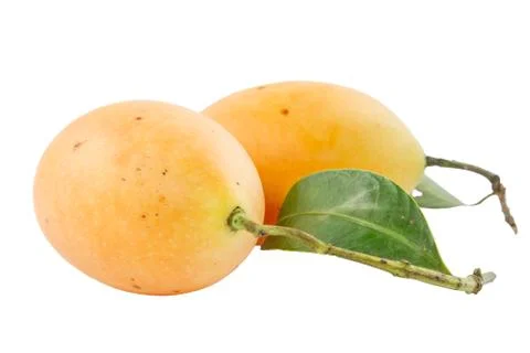 Plum mango isolated on white background Stock Photos