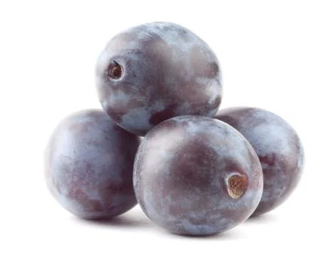 Plum Stock Photos