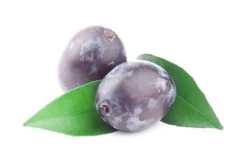 Plum Stock Photos