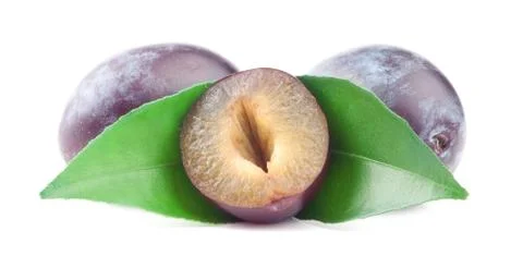 Plum Stock Photos