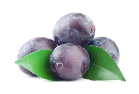 Plum Stock Photos