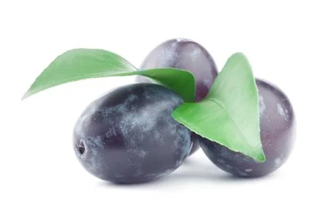 Plum Stock Photos