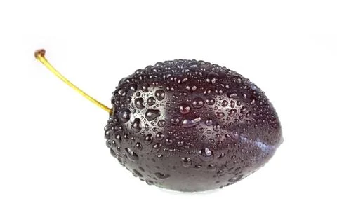 Plum Stock Photos