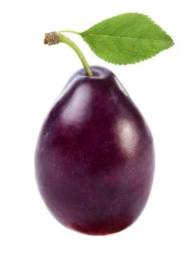 Plum Stock Photos