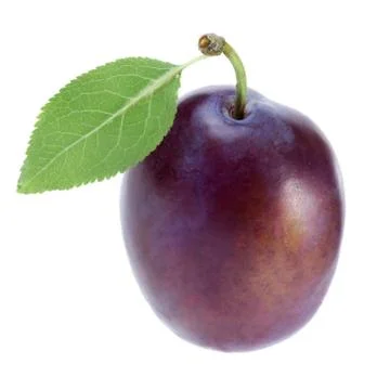 Plum Stock Photos