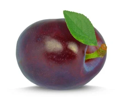 Plum Foto stock