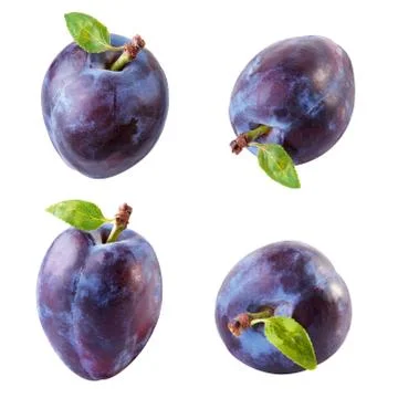Plum Stock Photos