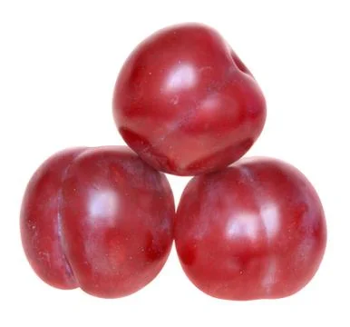 Plum Stock Photos