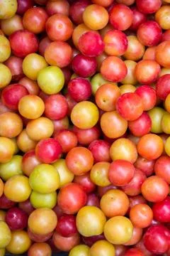 Plum Stock Photos