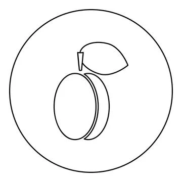 Plum prune icon in circle round black color vector illustration image outli.. 스톡 일러스트
